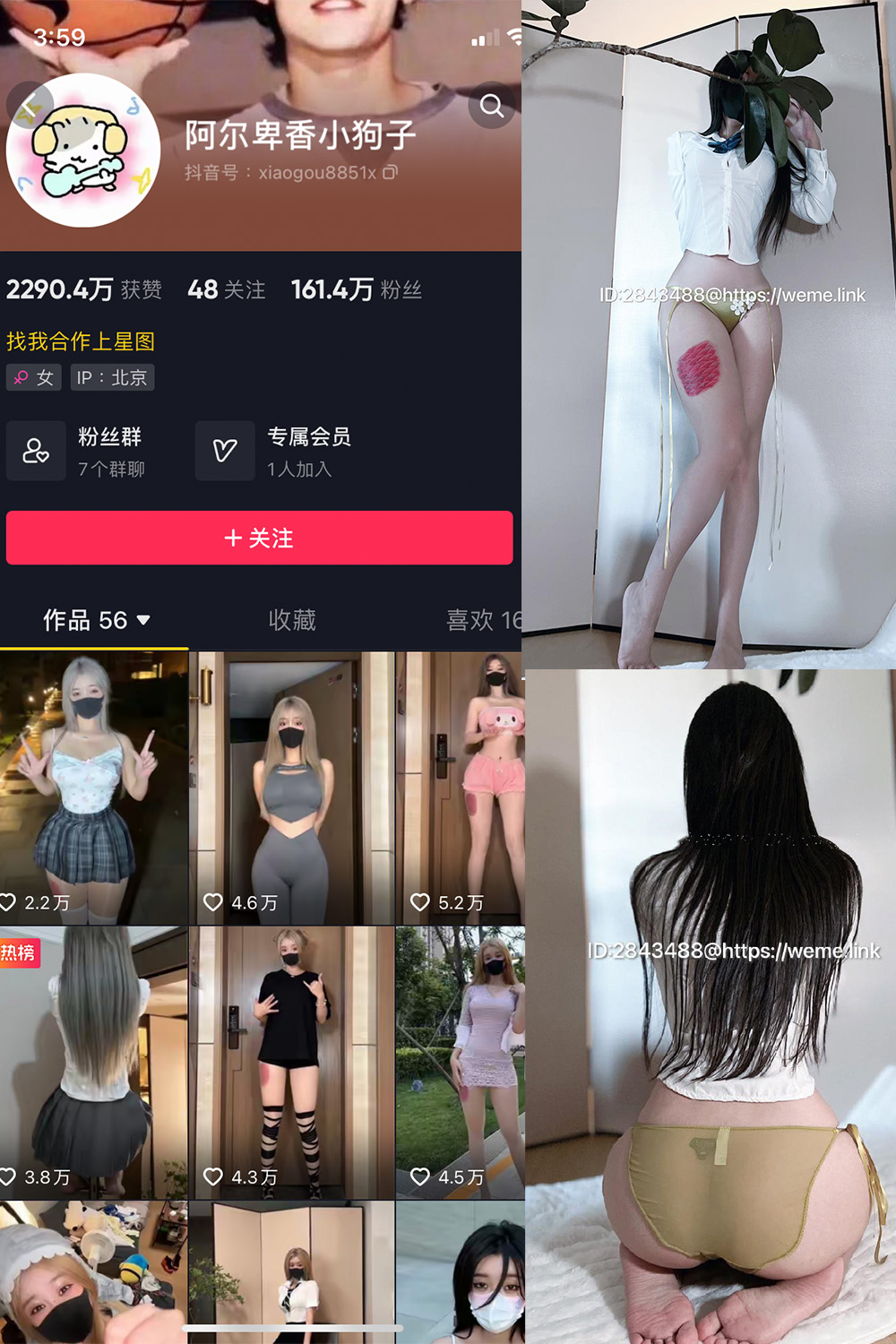 抖音 阿尔卑香小狗子 微密圈  NO.047期 【39P】最新至：2024.6.10-微密空间