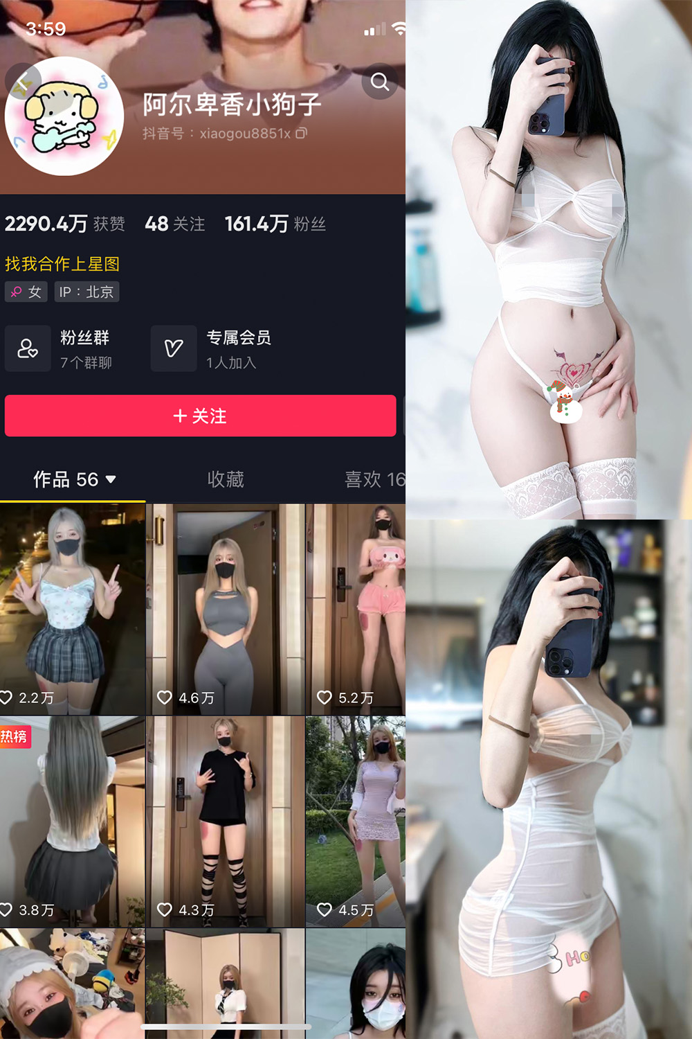 抖音 阿尔卑香小狗子 微密圈  NO.051期 【33P】最新至：2024.7.1-微密空间