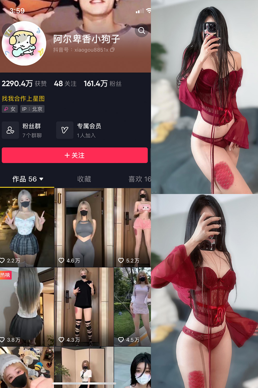 抖音 阿尔卑香小狗子 微密圈  NO.056期 【10P2V】最新至：2024.8.25-微密空间
